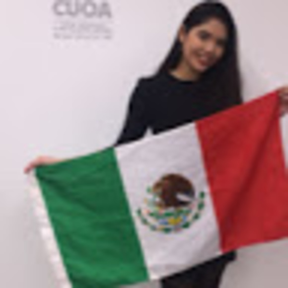 luisacastro11